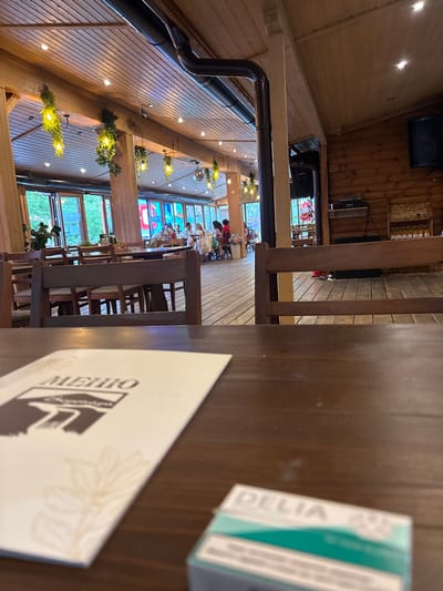 The image depicts the interior of a restaurant with a rustic, wooden aesthetic. Hanging plants with lights are suspended from the wooden ceiling, and a black pipe runs along the ceiling. Several wooden tables and chairs are arranged throughout the space, some occupied by patrons in the background. Large windows overlook an outdoor area with trees. On the table in the foreground, a menu with the word "МЕНЮ" is visible, along with a small, blurred box with the word "DELIA". A discoball is visible hanging from the ceiling in the background. The overall impression is that of a casual dining establishment. There is no indication of the location being in the city of Dupnitsa, Bulgaria.