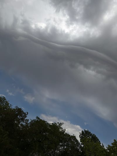 The image shows a dramatic sky filled with dark, heavy clouds that appear to be a storm front moving in. Sunlight breaks through in some areas, creating a luminous effect. Below the turbulent clouds, patches of blue sky are visible, interspersed with lighter, wispy clouds. The lower portion of the image is dominated by the dark green foliage of trees, their branches swaying, suggesting windy conditions. This scene is captured from a low angle, looking upwards. The location is identified as Chirchik, Uzbekistan, implying an outdoor setting within or near the city. There are no people or specific man-made objects visible, only the natural elements of the sky and trees.