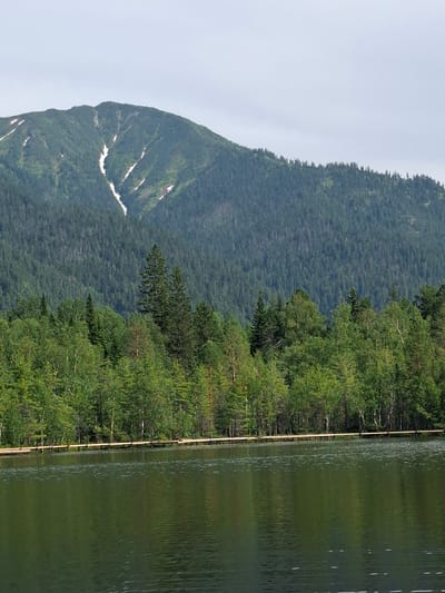The image displays a serene natural landscape in Vydrino, Russia. The scene is dominated by a large, tree-covered mountain on the left and a calm, green body of water on the right. The mountain is lush with dense forests, and patches of white snow are visible on its slopes, suggesting it is either early spring or late autumn. The water, likely a lake or river, reflects the surrounding greenery and the light sky. Along the edge of the water, a wooden boardwalk or pier runs parallel to the shore, bordered by a line of trees. The sky is overcast and pale, indicating a diffused light, possibly early morning or late afternoon, and the weather appears cool and possibly damp. There are no people or animals visible in the image, emphasizing the quiet and undisturbed nature of the location. The overall mood is peaceful and contemplative, highlighting the beauty of the Russian wilderness.