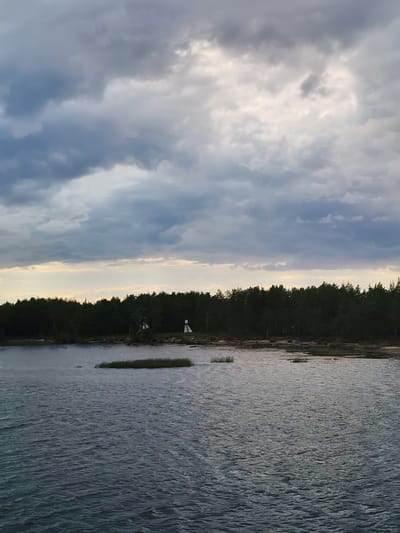 A wide-angle, vertical shot captures a serene lake scene under a dramatic, cloudy sky. The foreground is dominated by dark, choppy water, reflecting the moody atmosphere above. In the middle ground, a low-lying island covered in green grass breaks the water's surface, its shape elongated and curved. Beyond the island, the shoreline is densely populated with dark green trees, forming a thick forest that stretches across the horizon. Two white, triangular structures, resembling small shelters or observation posts, are visible amidst the trees on the right side of the frame. The sky is filled with heavy, gray clouds, with a faint band of lighter sky peeking through towards the horizon, suggesting the presence of a setting or rising sun. The overall impression is one of natural beauty and tranquility, with a hint of impending weather change due to the dark clouds. There are no people or animals visible in the frame. The location is specified as Shal'skii, Russia.