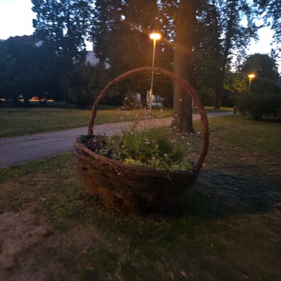 This is a medium shot, eye-level, outdoor photograph taken at dusk. The subject is a large, woven basket overflowing with green foliage and small pink flowers. The basket is positioned on a grassy area, with a paved pathway curving behind it. In the background, trees are silhouetted against the twilight sky, and a street lamp with an illuminated orange bulb is visible. The scene appears to be a park or public garden.