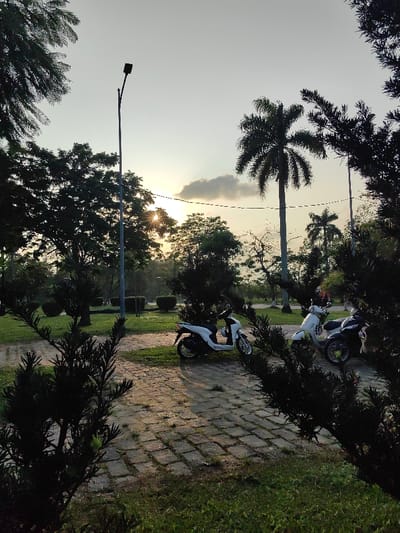 The image captures an outdoor park or green space in Thuận Hóa Ward, Vietnam, during either sunrise or sunset, indicated by the low sun position and warm light. The sky transitions from a pale orange-yellow at the horizon, where the sun is visible as a starburst behind trees, to a lighter tone higher up. A small, horizontal cloud is present above the sun. A tall, grey streetlamp with a black luminaire stands on the left. A thin, dark utility line crosses horizontally through the upper midground. The ground consists of green grass intersected by a paved pathway constructed from rectangular bricks. Three motor scooters are parked on this path: a white scooter on the left, a second white scooter in the middle, and a dark-colored scooter on the right, partially obscured by foreground foliage. Numerous trees, including tall palm trees with slender trunks and dense crowns, as well as various broadleaf trees and dense shrubs, populate the midground and background. No individuals are visible in the scene.