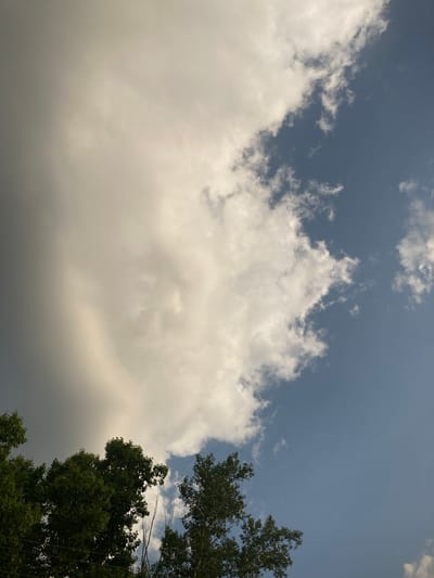 The image depicts a sky scene with a dramatic contrast between a large, dark cloud formation on the left and a clear blue sky on the right, interspersed with smaller, white clouds. The lower portion of the image shows the tops of lush green trees, obscuring the ground. There are no people, subjects, or objects clearly identifiable in the sky. The scene is captured from a low angle, looking upwards. The location, Ракиты, Russia, suggests a natural or semi-natural environment, potentially a park or a residential area with significant tree cover. The lighting indicates it is daytime, with the sun likely behind the large cloud, casting a gradient of light and shadow.