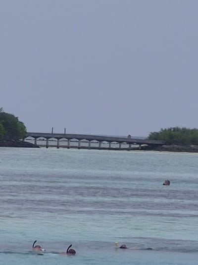 The image depicts a scene in Huraa, Maldives, featuring a wooden dock extending into the turquoise water. The water has visible ripples. Several people are swimming or snorkeling in the water, with their heads and snorkel gear visible above the surface. The sky is overcast, and there is lush green vegetation along the edge of the land where the dock is situated.