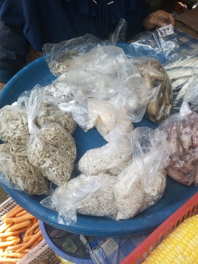 This image depicts a market stall scene in Naung Bo Oe, Myanmar. A large, circular blue plastic basin occupies the center, filled with various food items individually packaged in clear plastic bags.

Specifically, the basin contains multiple bags of small, light-colored dried fish (consistent with anchovies), several bags holding larger whole dried fish, and at least one bag of dried cephalopods, likely squid. Additionally, bags of white, granular or shredded dried food items are present.

A person's upper torso, wearing a dark blue garment with a patterned neckline, is partially visible in the upper left quadrant. Their right hand, displaying visible skin texture, is seen in the upper right, holding a small, rectangular white object, possibly a price tag or receipt.

Below and to the left of the blue basin, a white plastic crate holds multiple orange carrots. To the right, a red plastic basket contains yellow corn on the cob. A blue and white checkered fabric is visible beneath the main display.