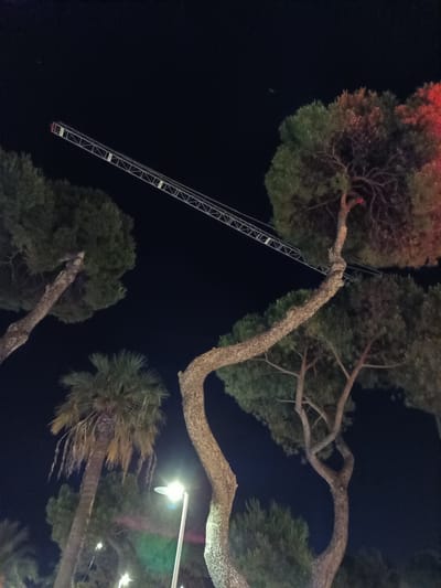 The image depicts a nighttime scene featuring several trees, including pine trees and a palm tree, set against a dark sky. A long, metallic truss structure, possibly part of a temporary stage or lighting rig, extends diagonally across the upper portion of the frame. The truss has visible markings and appears to be illuminated by some lights, with a red light visible at its far end. Several streetlights are also present, casting a bright glow and creating lens flare effects. The overall impression is that of an outdoor event or installation taking place at night in a location with mature trees. The presence of a palm tree suggests a warm climate. This scene is located in Roseto degli Abruzzi, Italy.