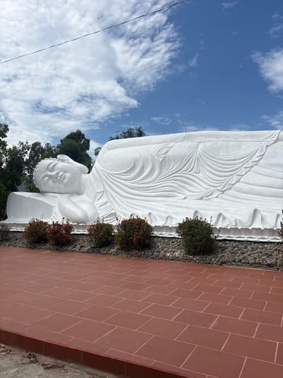 This image captures a massive white reclining Buddha statue, a prominent religious monument located in Cam Ranh, Vietnam. The statue is depicted lying horizontally, with its serene head, featuring closed eyes and elongated earlobes, resting on its right arm on the left side of the frame. Its body is draped in robes intricately carved with flowing, wave-like patterns, adding texture and detail to the brilliant white surface.
The Buddha statue rests on a base made of dark, rough stones. In the foreground, a reddish-brown tiled pathway, composed of rectangular blocks, stretches across the right side of the image. Between the pathway and the statue's base, a narrow strip of dark pebbles is visible, interspersed with several green bushes adorned with clusters of vibrant red flowers.
Above the statue, a bright blue sky fills the upper portion of the scene, dotted with scattered white clouds, suggesting clear, sunny weather, likely during the day. Lush green trees and foliage are visible behind and partially above the statue, providing a natural backdrop and indicating a verdant, possibly hilly, environment. A thin black wire traverses the sky in the upper left background. The overall scene conveys a sense of peace and tranquility, characteristic of a sacred site. No human activity or visible text is present.