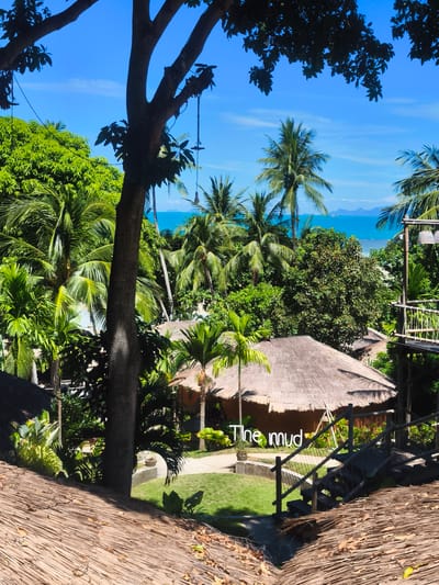 The image depicts a tropical scene, likely in Baan Thong Po, Thailand. The setting is lush and green, dominated by abundant palm trees and other vibrant foliage. In the foreground, a thatched roof, possibly part of a resort or bungalow, is visible. Beyond this, several circular thatched-roof structures are nestled amongst the trees, suggesting a complex of accommodations or a village.
A prominent detail is the text "The mud" rendered in white, stylized lettering, placed near one of the thatched buildings and a wooden staircase. The staircase, constructed from dark wood and bamboo, leads upwards to a viewing platform or another level, offering a glimpse of the surrounding greenery.
The background reveals a bright, clear blue sky and a tranquil turquoise sea, with distant islands or landmasses visible on the horizon. The presence of a ship on the water indicates maritime activity. The lighting suggests it is daytime, with the sun casting shadows and highlighting the textures of the thatch and leaves. The overall atmosphere is one of relaxation and tropical paradise. There are no people visible in the image, and the focus is on the natural beauty and the unique architecture of the location.