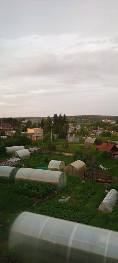 This is a landscape photograph taken from an elevated viewpoint overlooking a rural or suburban area. The scene is dominated by numerous greenhouses, covered with translucent white or grey material, arranged in rows on green grassy plots. Some of these greenhouses appear to be elongated, tunnel-like structures, while others are more rounded. Behind the greenhouses, there are scattered residential buildings with pitched roofs, some appearing to be made of brick and others of wood. Further in the background, a dense forest line runs horizontally across the image, with a few taller trees interspersed with smaller ones. The sky above is overcast with diffused light, suggesting either early morning or late evening. The overall impression is one of agricultural activity or domestic gardening in a tranquil, somewhat somber environment. The time of day is likely dusk or dawn, given the soft, even lighting and the absence of strong shadows. There are small, dark specks in the sky that could be birds in flight. The location is Kudymkar, Russia, which aligns with the presence of greenhouses and the type of vegetation and architecture visible. No visible text is present in the image.