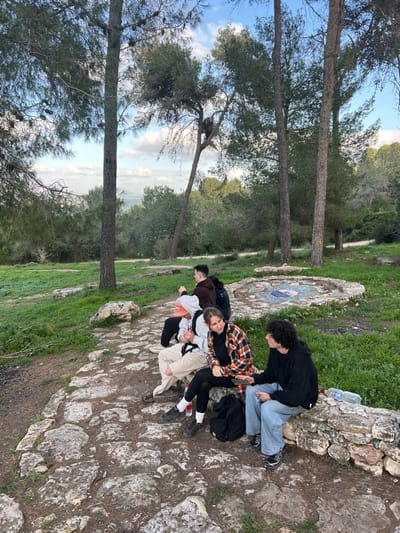 Five individuals are seated on a low, irregular stone wall or large rocks in a forested park area within the Megido Regional Council, Israel. The foreground features a rough stone path and sparse dirt/grass. From left to right, two individuals are partially visible, one in a dark top facing away, and another in a brown hoodie facing left. A third person wears a white hoodie, light trousers, and a red bucket hat, facing left. A fourth person, wearing a plaid shirt and dark trousers, faces right, seemingly engaging in conversation with the third and fifth individuals. The fifth person, with curly dark hair, wears a dark hoodie and light blue jeans, facing left. A black backpack rests on the ground near the fourth and fifth individuals, alongside two plastic water bottles on the stone wall. To the right, a circular stone structure with a blue and white mosaic design is visible on the grassy terrain. The background is dominated by numerous tall, slender pine trees and dense green foliage. In the far distance, a hazy landscape extends under a partly cloudy sky, indicating a vista over a valley or plain. The scene is illuminated by natural daylight.