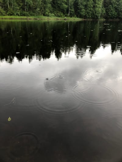 The image depicts a body of water with ripples on its surface, reflecting the overcast sky and the dense green trees lining its edge. The reflection of the trees is visible on the left side of the frame, appearing as a dark, elongated shape. The water's surface is disturbed by numerous concentric circles, indicating that raindrops are falling or have recently fallen. These ripples are more pronounced in the upper right portion of the image, creating a visually dynamic effect. The overall color palette is dominated by dark greens and grays, suggesting a subdued and possibly tranquil atmosphere. The scene appears to be set in a natural environment, likely a lake or slow-moving river, surrounded by a forest. There is no visible text, people, or specific objects that would indicate a particular time of day beyond it being overcast. The weather appears to be rainy or recently rained upon. The location cue provided, Svirstroy, Russia, places this natural scene within a specific geographical context.