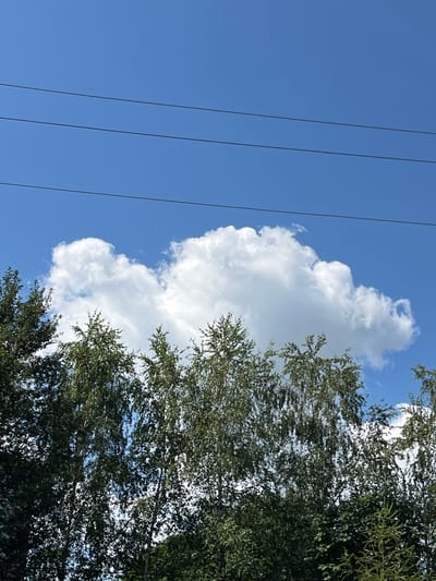 In Koroviia, Ukraine, a bright, clear blue sky serves as the backdrop for a thick, white cumulus cloud formation. Three dark, thin utility wires stretch horizontally across the upper portion of the frame. Below the cloud, the dense green canopy of trees, likely deciduous with some evergreens interspersed, fills the lower half of the image, obscuring any view of the ground or structures. The foliage appears lush and healthy, suggesting a summer or late spring day.