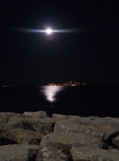 A night-time photograph shows a body of water, likely the Bosphorus Strait, with a bright moon illuminating the sky. The moon is positioned in the upper center of the image, casting a strong reflection on the water. In the distance, a city skyline with numerous lights is visible along the shore, suggesting a populated area such as Kadıköy, Turkey. The foreground of the image is dominated by a rough, rocky embankment. The overall scene is dark, with the primary light sources being the moon and the distant city lights.