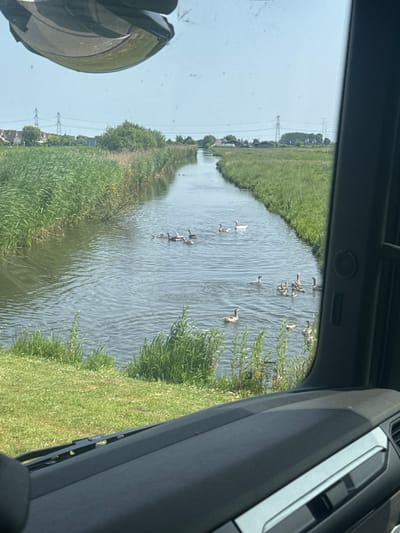 View from a car window overlooking a canal in Ouderkerk aan den IJssel, Netherlands. The canal is populated with a flock of geese. Green vegetation borders both sides of the canal. Utility poles are visible in the distance. The car's side mirror is partially visible in the left foreground, and the car's interior trim is visible on the right.