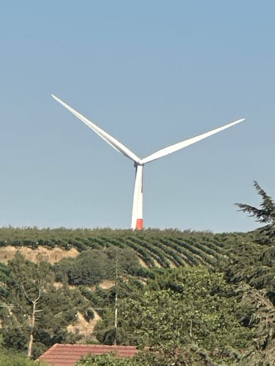 This media file captures a wind turbine set against a clear blue sky. The turbine, predominantly white with a red accent on its nacelle, features three long blades. One blade extends upwards and to the right, while the other two are positioned lower and to the left, suggesting the turbine might be in motion or at rest in a specific configuration.
The turbine is situated on a hillside covered with dense green foliage, possibly vineyards or orchards, arranged in neat rows ascending the slope. The terrain appears arid, with patches of dry earth visible between the cultivated rows. In the foreground, to the right, a section of a red-tiled roof is visible, hinting at a nearby structure. Lush green trees and dense vegetation dominate the right side of the frame, interspersed with drier patches.
The lighting suggests a bright, sunny day, likely mid-morning or afternoon given the clear sky and distinct shadows. The scene appears to be a rural or semi-rural landscape. The overall impression is one of agricultural land and renewable energy infrastructure within a natural setting. There is no visible text in the image.