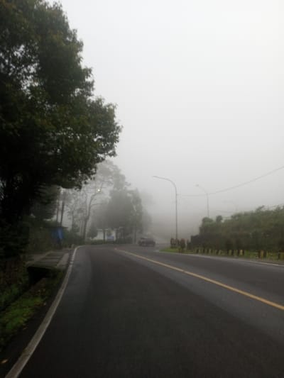 The image depicts a foggy road scene in Siruppiddy, Sri Lanka. A two-lane asphalt road, appearing wet, curves gently to the right, marked by a solid white line on the left shoulder and a double solid yellow line in the center. Dense green trees occupy the upper left foreground and line the left side of the road, where a concrete drainage ditch is visible. Further back on the left, a small, dark blue structure is partially obscured by fog and trees. On the right side of the road, a dark grey vehicle, possibly an SUV or car, is partially visible in the distance, facing away from the viewer. A series of dark bollards or short barriers with yellow tops line the right shoulder, separating the road from dense green foliage. Streetlights and overhead power lines are visible through the fog on the right side. The sky is completely overcast with thick fog, severely limiting visibility of the horizon and distant objects. No individuals are present.