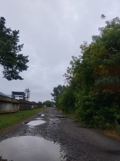 The image shows a view down a wet, gravelly road with several large puddles reflecting the overcast sky. On the left, a concrete wall runs alongside the road, with what appears to be an industrial building or structure behind it. Large trees with dense green foliage line the right side of the road, extending into the distance. The sky is a uniform pale gray, indicating a cloudy day. The overall scene suggests an outdoor industrial or semi-industrial area in Hoholeve, Ukraine, with signs of recent rain.