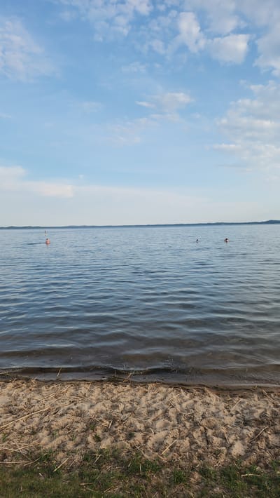The image shows a tranquil scene at the shore of a large body of water, possibly a lake, in or near Tilīši, Latvia. The foreground is dominated by a sandy beach covered with scattered dry reeds and patches of green grass. The water, appearing calm with gentle ripples, stretches to the horizon, which is marked by a faint, tree-lined silhouette of distant land under a pale blue sky filled with scattered white clouds.
Several individuals are visible in the water. In the middle left of the frame, a person is swimming, with only their head and shoulders visible. Further to the right and slightly more distant, two other figures are in the water, also appearing to be swimming or wading. One of these figures is closer to the shore than the other. The lighting suggests it is late afternoon or early evening, with the sun casting soft light on the water and sky. The overall impression is one of peaceful recreation in a natural setting.