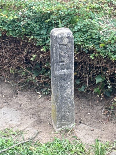 A weathered, rectangular stone marker, approximately one meter tall, stands vertically on a patch of dirt and grass. The marker is grey and appears to be made of rough-textured stone. Embossed on its visible face is the letter "R," also appearing weathered and carved into the stone. The marker is situated in front of a dense hedge of green leafy plants, with some dry, brown branches visible beneath. The ground around the marker is a mix of soil, small stones, and patches of green grass. A portion of a paved surface or sidewalk is visible to the left of the marker, extending downwards and to the foreground. The scene appears to be outdoors, in a natural or semi-natural environment, likely in a park or along a path. There are no people or animals visible in the image. The lighting suggests it is daytime.