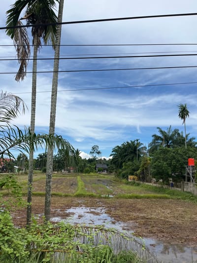 The image depicts a rural landscape in Seunebobaru, Indonesia, under a partly cloudy blue sky. In the foreground, a section of a harvested rice field is visible, with muddy patches and some remaining stubble. Several tall palm trees are prominent, with two in the left foreground and others scattered throughout the background. Overhead, thick black electrical wires stretch across the sky. In the middle ground, several small houses and structures are nestled amongst dense greenery and palm trees. On the right side of the image, a tall metal structure supports a bright orange water tank. The overall impression is of a tranquil, tropical environment.