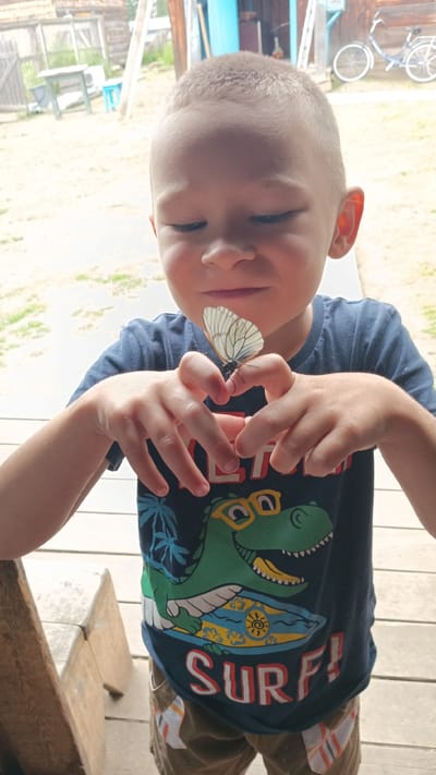 A young boy with a short haircut is shown from the chest up, looking down at his hands. A white butterfly rests on his index finger, which he is holding up to his face. His hands are positioned to form a heart shape. He is wearing a dark blue t-shirt with a cartoon dinosaur riding a surfboard and the word "SURF!" printed on it. The background appears to be an outdoor setting, possibly a rural area in Parendy, Russia, with wooden structures and vegetation visible. The lighting suggests it is daytime.