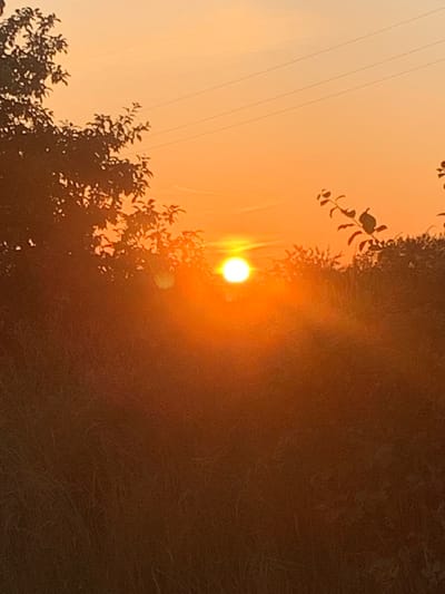 The image depicts a sunset over Gvardeysk, Russia. The sun, a bright orb, is visible in the center of the frame, casting a warm orange glow across the sky. Silhouettes of trees and vegetation frame the lower portion of the image, with thin power lines stretching across the upper sky. The overall scene is serene and natural, bathed in the soft light of dusk.