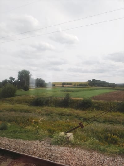 The image captures a rural landscape with cultivated fields and a cloudy sky. In the foreground, train tracks run diagonally across the bottom left of the frame, bordered by ballast. Beyond the tracks, a varied terrain unfolds with patches of green vegetation, wildflowers, and darker, tilled soil. In the middle ground, a row of trees stands, with a few scattered bushes and more fields. In the background, rolling hills are visible, some covered in darker trees and others with yellow crops, possibly sunflowers. The sky is overcast with diffused light. A piece of rusted metal equipment with wires attached is visible in the lower right quadrant of the image, anchored to a concrete base. This scene is characteristic of the agricultural outskirts of Pokrovske, Ukraine, suggesting a view from a moving train. There are no people or animals present.