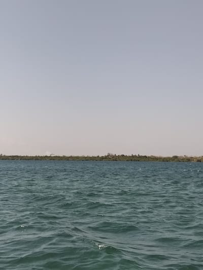 The image displays a serene landscape primarily composed of water, distant land, and sky. The scene is dominated by a large body of water in the foreground and midground, which appears to be a river, lake, or calm sea. The water has a deep teal or blue-green hue and exhibits numerous small ripples and waves, suggesting a gentle movement or breeze. Light reflects off the surface of these ripples, creating subtle glints.
On the horizon, a strip of land covered with dense, dark green vegetation stretches across the entire width of the image. This land appears to be a shoreline or a distant island, featuring a variety of trees and bushes that form a continuous, natural barrier. The vegetation is lush, hinting at a tropical or subtropical environment.
Above the distant land, the sky occupies the upper two-thirds of the image. It is a pale, almost uniform light gray or off-white color, suggesting either an overcast day or very hazy atmospheric conditions. There are no distinct clouds visible, and the light appears diffused, without harsh shadows.
The overall impression is one of natural tranquility and expanse. No human activity, structures, or animals are visible, emphasizing the natural beauty of the scene. The time of day appears to be daytime, given the general brightness, though the diffuse light makes it difficult to pinpoint the exact time. No text is present in the image.