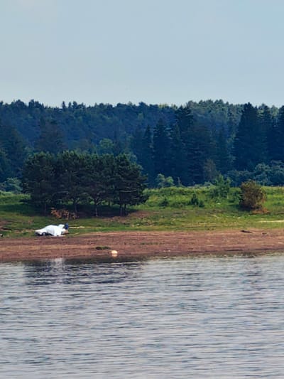 The image depicts a rural waterside scene in Erkalovo, Russia. In the foreground, a body of calm water stretches across the frame, reflecting the muted tones of the sky. The middle ground features a low, sandy bank dotted with a few objects, including what appears to be a white buoy and some debris. Further inland, a patch of green grass transitions into a dense forest of dark green trees, creating a natural backdrop.
On the grassy area, a white car is partially covered by a tarp, suggesting it's either being protected from the elements or is in storage. A person, dressed in blue, stands near the covered car, possibly attending to it or taking a break. The overall impression is one of quiet solitude and a somewhat rustic, perhaps abandoned, setting.
The time of day appears to be overcast or late afternoon, given the soft, diffused light. The weather seems mild and calm. The combination of the covered car, the solitary figure, and the natural, undeveloped landscape hints at a peaceful, unhurried moment, possibly in a remote area. There is no visible text in the image.