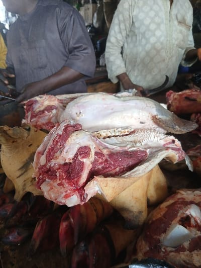 The image portrays an active butcher stall located in Kofar Mazugal, Nigeria. Two individuals are partially visible: one on the left wearing a dark long-sleeved shirt, and another on the right in a light-colored, patterned long-sleeved garment, holding a curved metal knife in their right hand. The central focus is a display of raw animal meat and parts on a table or counter. Prominently featured is a large bovine head section, with the tongue exposed and the surrounding skin partially flayed. To the left of this central piece, a substantial cut of red meat with visible muscle and fat rests on a collection of dark-colored animal hooves. Another cut of red meat is visible on the right side of the frame. Both individuals appear engaged in activities related to meat preparation or sale. The background is indistinct, suggesting an indoor or covered market environment.
