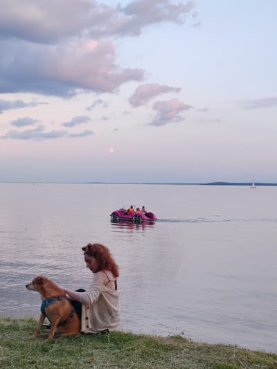 A young woman with curly red hair sits on the grass at the edge of a body of water, petting a brown dog with a blue harness. The woman is wearing a light-colored cardigan over a dark top and has her hair styled in two buns. The dog is looking to its left. In the distance, a pink paddle boat with people on it is moving across the water, and a sailboat is visible on the horizon. The sky is a soft gradient of pink and blue, with scattered clouds. The scene appears to be a serene outdoor setting, possibly a lake or large river in the Нарацкі сельскі Савет, Belarus, during twilight.