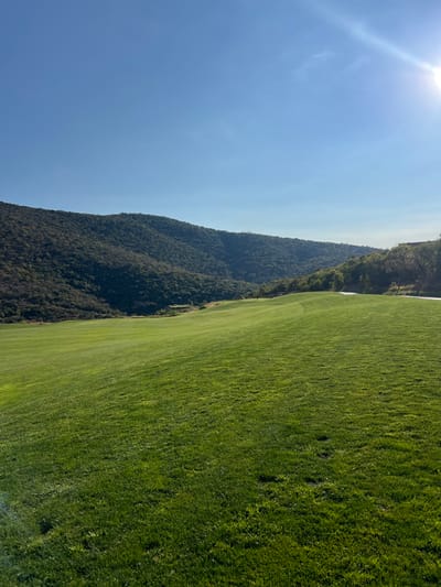 Lush green grass covers the right side of the image. A forested mountain rises on the left, its dense trees creating a dark contrast against the bright blue sky. Sunlight glistens in the upper left corner, casting a soft glow over the scene. The boundary between the field and the mountain appears sharp and distinct, delineating the natural landscape.