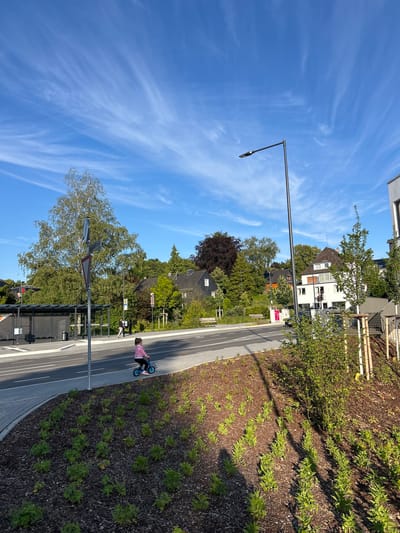 The image captures a sunny day in Waldbröl, Germany, on a street with a bus stop. A young girl in a pink jacket is riding a small blue bicycle on the paved road. In the background, houses and trees are visible under a bright blue sky with wispy clouds. A streetlamp stands tall on the right side of the frame, and a bus stop shelter with benches is on the left. The foreground features a landscaped area with young plants and mulch.