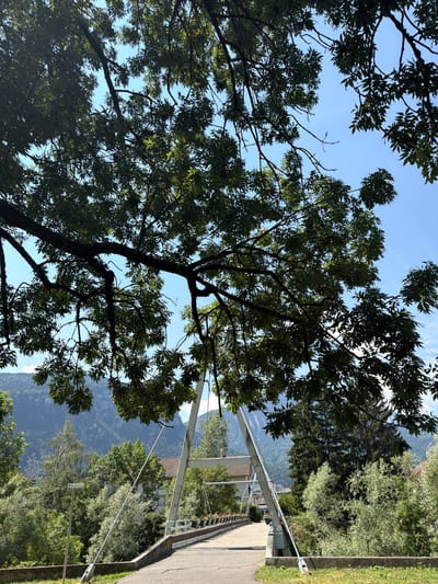 This media file captures an outdoor scene from a low-angle perspective, looking up through the branches of a tree towards a clear blue sky. The foliage of the tree is dense and green, creating a natural canopy. Beyond the tree, a modern pedestrian bridge or walkway is visible, constructed with white metal supports and a concrete pathway. The bridge extends into the distance, bordered by a grass verge and a concrete retaining wall.
In the background, lush green trees and vegetation cover rolling hills or mountains, suggesting a natural, possibly mountainous landscape. A building, likely residential, can be seen nestled amongst the trees behind the bridge structure. The overall impression is one of a peaceful, possibly sunny day, with the natural environment integrating with man-made infrastructure. The time of day appears to be daytime, with ample natural light. The weather seems clear and fair. The presence of the bridge suggests a location that might be near a town or within a park setting, designed for pedestrian access and enjoying the scenery. There is a small white signpost visible near the bridge. No people are depicted in the image.