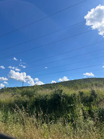 A sunny day in Beloslav, Bulgaria is depicted in this image. The sky is a vibrant blue with scattered white clouds. Power lines stretch horizontally across the frame, dividing the sky from the landscape below. The landscape consists of a lush green hillside covered in trees and tall grass. The vegetation appears dense and varied, with some areas of lighter green grass and darker green bushes and trees. A single utility pole is visible on the hillside, supporting some of the power lines. The foreground is dominated by tall, dry grass and some flowering plants, suggesting a natural, perhaps rural or semi-rural setting. The lighting indicates it's daytime, with bright sunlight casting shadows and highlighting the textures of the vegetation. There are no people or animals visible in the image.