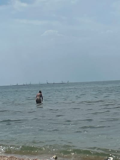 The image shows a person in the water near a shore. The water is calm with some ripples. The person appears to be partially submerged. The setting is a body of water, likely the sea or a large lake, with a shoreline visible on the right. The sky is overcast, suggesting a cloudy or overcast day. In the distance, there are some faint structures that could be buildings or industrial facilities. The overall mood is tranquil. No visible text is present in the image. The scene appears to be set in an outdoor, natural environment.