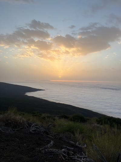 The image depicts a panoramic view from a high vantage point, likely a mountain, overlooking a vast expanse of clouds that stretch to the horizon. The sun is low in the sky, casting a warm, golden light across the scene, and is partially obscured by clouds. To the left, a dark, mountainous slope covered in sparse vegetation descends towards the cloud layer. In the foreground, dark volcanic soil is visible, interspersed with dried branches and low-lying scrubby vegetation. The sky is a gradient of soft blues and yellows, with scattered clouds catching the sunlight. The overall impression is one of a serene and majestic natural landscape at sunrise or sunset. The scene is likely located in the municipality of La Orotava, Tenerife, Canary Islands, Spain, given its elevation and the prevalent cloud sea phenomenon often seen from the slopes of Mount Teide. There are no people or man-made structures visible in the image.