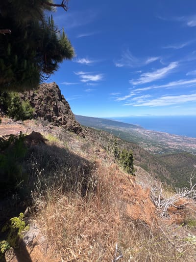 The image depicts a high-altitude view of La Orotava, Spain, looking towards the coast. In the foreground, dry grasses and pine needles cover a rocky slope, with a pine tree branch extending from the upper left. A prominent, rugged rock formation juts out from the left side of the frame. Beyond this, the terrain slopes down towards a coastal plain dotted with buildings, leading to the blue expanse of the ocean. The sky is a bright, clear blue with scattered wispy white clouds. The overall scene is one of a natural, mountainous landscape overlooking a populated coastal area on a sunny day.