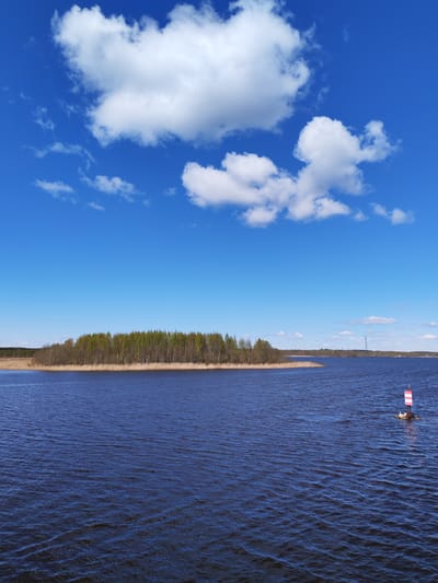 A medium-wide shot captures a body of water with a small island in the middle ground. The island is covered with a dense forest of trees. In the foreground, the water is slightly choppy with small waves. A red and white striped marker buoy is visible in the water, positioned on a small rocky outcrop where at least two birds are present. The sky above is a bright blue with fluffy white clouds. The horizon line is visible, with distant structures and trees barely discernible in the background. The scene suggests a calm, natural environment in a location that may be Novodevich'e, Russia.