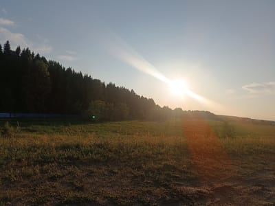 This is an outdoor, wide-angle, horizontal photograph of a field with a forest edge in the background, taken during golden hour. The sun is bright and prominent in the upper right quadrant of the image, casting a strong lens flare that creates visible light rays extending towards the left. The sky is a pale blue with a few wispy clouds. The foreground consists of dry grass and dirt. A dark line, possibly a fence, is visible along the edge of the forest on the left side of the image. The forest itself is dense with a mix of coniferous and deciduous trees. The overall impression is a serene, natural landscape illuminated by the setting sun.