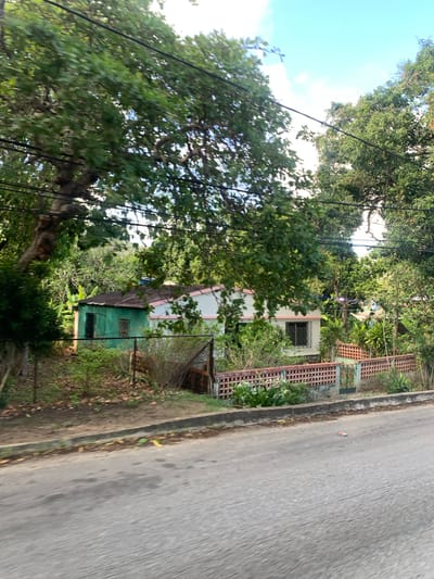 The image shows a street-level view of a house and its surroundings, likely in a residential area. The house is partially visible, with a green-colored section on the left and a pink and white section on the right. A weathered fence with a decorative lattice pattern runs along the front of the property, with a gate in the middle. Lush green trees and vegetation surround the house, with some foliage obscuring parts of the structure. Power lines are visible overhead, crisscrossing through the branches of the trees. The foreground features a paved road with a concrete curb. The scene appears to be captured during daylight with a bright sky overhead, suggesting a tropical or subtropical climate. There are no people or animals visible in the image. The overall impression is one of a slightly overgrown, lived-in property in a warm, green environment.