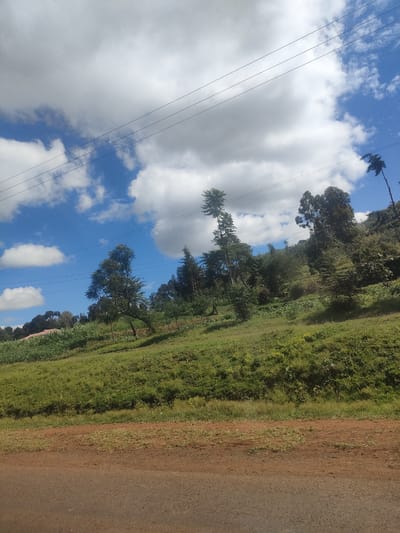 The image depicts a scene in the Kibirichia ward, Kenya. The foreground consists of a road with a dirt shoulder, leading to a grassy hillside. The hillside is covered in vegetation with scattered trees and bushes. In the mid-ground, there are taller trees. Power lines stretch across the top portion of the image against a blue sky dotted with puffy white clouds. A hint of a building can be seen behind the cornfields. No people are visible.