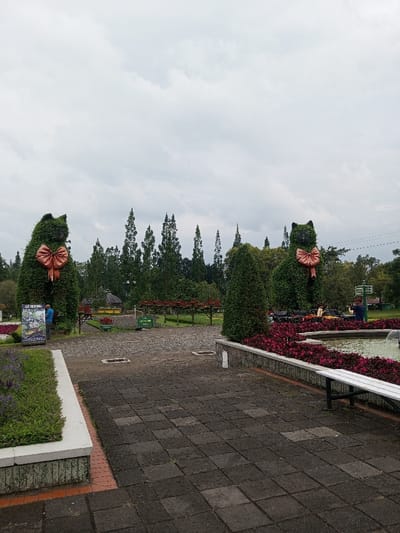 A park scene shows two large cat-shaped topiaries adorned with bows. They frame a gray stone pathway leading to a fountain with red flowers and a white bench. Trees fill the background under a cloudy sky. People are visible near the topiaries. The foreground features flower beds with purple and green plants, all under diffuse lighting.