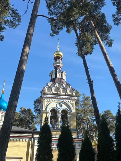 This image, taken in Jūrmala, Latvia, depicts a sunny daytime scene focused on a church or monastery tower. The tower features traditional Orthodox architecture with multiple domes, including a prominent golden dome at the apex. The structure is adorned with decorative elements in white, blue, and red. The tower is partially obscured by the branches of several large pine trees, which frame the shot and create a sense of depth. The sky is clear and blue, suggesting pleasant weather. In the foreground and background, other parts of the building are visible, including a bright blue dome, possibly part of the same complex. The overall atmosphere is serene and tranquil, with the natural elements of the trees contrasting with the man-made religious architecture. No people are visible in the image, and there is no visible text.