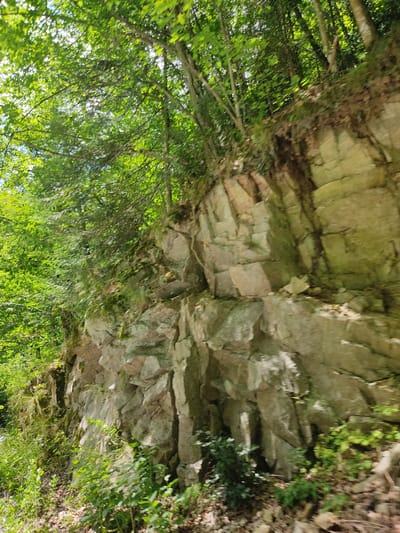 The image depicts a rocky cliff face overgrown with lush green foliage and trees. Sunlight filters through the leaves, casting dappled shadows on the rocks. The rock formations appear to be layered and weathered, with a natural, rugged texture. Various plants and small bushes are visible at the base of the cliff and clinging to the rock face, suggesting a natural, untamed environment. The overall scene conveys a sense of wilderness and natural beauty, typical of a forested or mountainous area. While the prompt mentions the city of Belovo, Bulgaria, this location cannot be visually confirmed from the image alone.