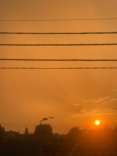 This image depicts a hazy, orange-tinted sky, suggesting either a sunrise or sunset, or possibly atmospheric conditions like smoke or dust. The sun is visible as a bright, diffused orb in the upper right quadrant, casting a warm glow over the scene. Several dark, vertical lines, likely power lines or cables, dominate the left and center of the frame, stretching from top to bottom.
In the background on the right, silhouetted against the bright sky, are the outlines of trees and buildings, indicating an urban or semi-urban setting. There's also a streetlamp visible, with its distinctive arm extended. The overall mood is serene and somewhat muted due to the atmospheric haze. The time of day is either early morning or late evening, characterized by the low angle of the sun and the warm color palette. No people are discernible in the image. The location context provided is Novi Petrivtsi, Ukraine. There is no visible text in the image.