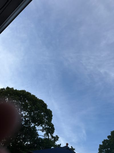 The image captures a sky view from Riverhead, United States of America. A dark, out-of-focus object, possibly a finger, is visible in the lower left corner. A large, dark green tree occupies the left and central portion of the frame, its branches silhouetted against the sky. The sky itself is a light blue with wispy white clouds streaking across it. In the lower portion of the image, the dark blue roof of a structure is visible, topped with a decorative finial. On the far right, the top of another dark green tree is visible. The scene appears to be outdoors during the daytime.