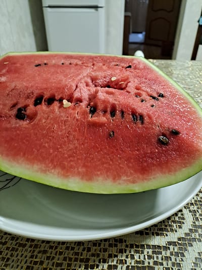 A close-up, eye-level shot captures a sliced watermelon on a white plate, resting on a textured, golden and brown patterned placemat. The watermelon is a vibrant pink, revealing numerous black seeds scattered throughout its juicy flesh. A single, small, light-colored seed, possibly a remnant of a seedless variety, is visible near the center. The watermelon's green rind is partially visible along the bottom edge of the frame. In the blurred background, a white refrigerator stands to the left, and a doorway leading to another room is visible to the right. The scene appears to be indoors, likely in a kitchen or dining area. No people are present in the image. The image was taken in the city of Shali, Russia.