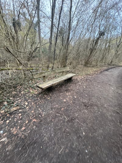 A blurry, angled view of a park bench alongside a path. The path is covered in dark dirt and scattered leaves. Bare trees line the left side of the path, creating a stark contrast with the ground. The bench is wooden and weathered, blending in with the natural surroundings. The sky is overcast, casting a muted light over the scene.