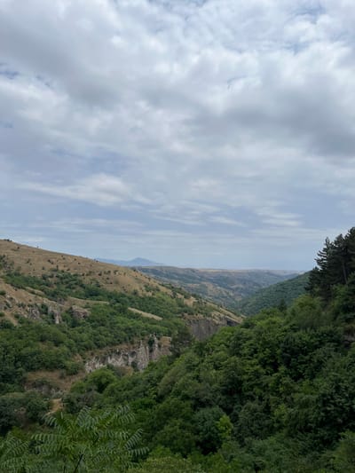 The image captures a wide-angle, elevated view of a deep valley or gorge in Khndzoresk, Armenia. The upper portion of the frame is dominated by a cloudy sky, primarily consisting of light grey stratocumulus clouds with scattered patches of lighter blue sky visible. The left side of the mid-ground features a steep, arid hillside covered with sparse, dry yellowish-brown vegetation and small green shrubs, revealing exposed grey rock formations and cliff faces descending into the valley. The right side of the foreground and mid-ground is characterized by dense, dark green foliage, primarily trees, which slopes down into the gorge. The valley floor is largely obscured by this thick vegetation. Rocky outcrops and sheer cliff walls are visible along the valley's slopes. Distant, hazy mountain ranges are discernible on the horizon. No individuals, structures, or objects of human activity are present. The lighting is diffuse, suggesting an overcast daytime.